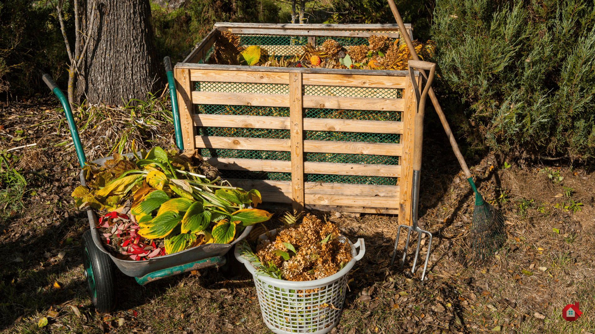 compost dans un bac&nbsp;