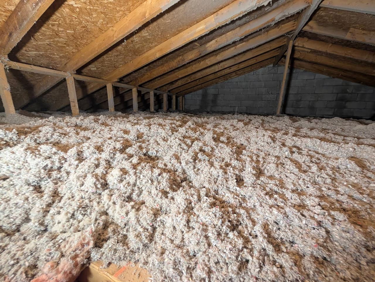 Entretoit résidentiel avec structure de bois apparente, isolant soufflé en vrac et mur de blocs de béton.