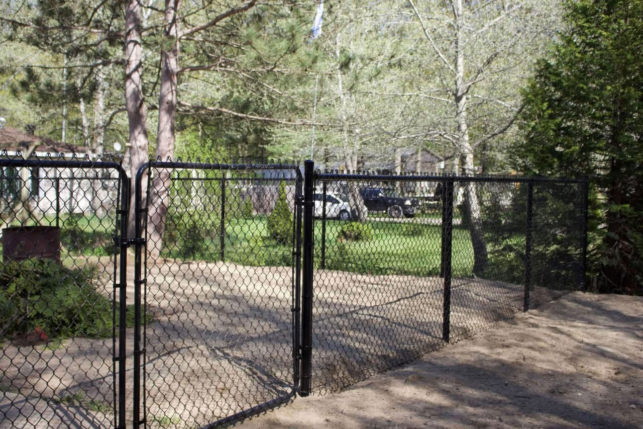 Clôture noire en mailles de chaîne avec double portail installée autour d’un terrain résidentiel boisé, avec arbres matures, pelouse et entrée en gravier.