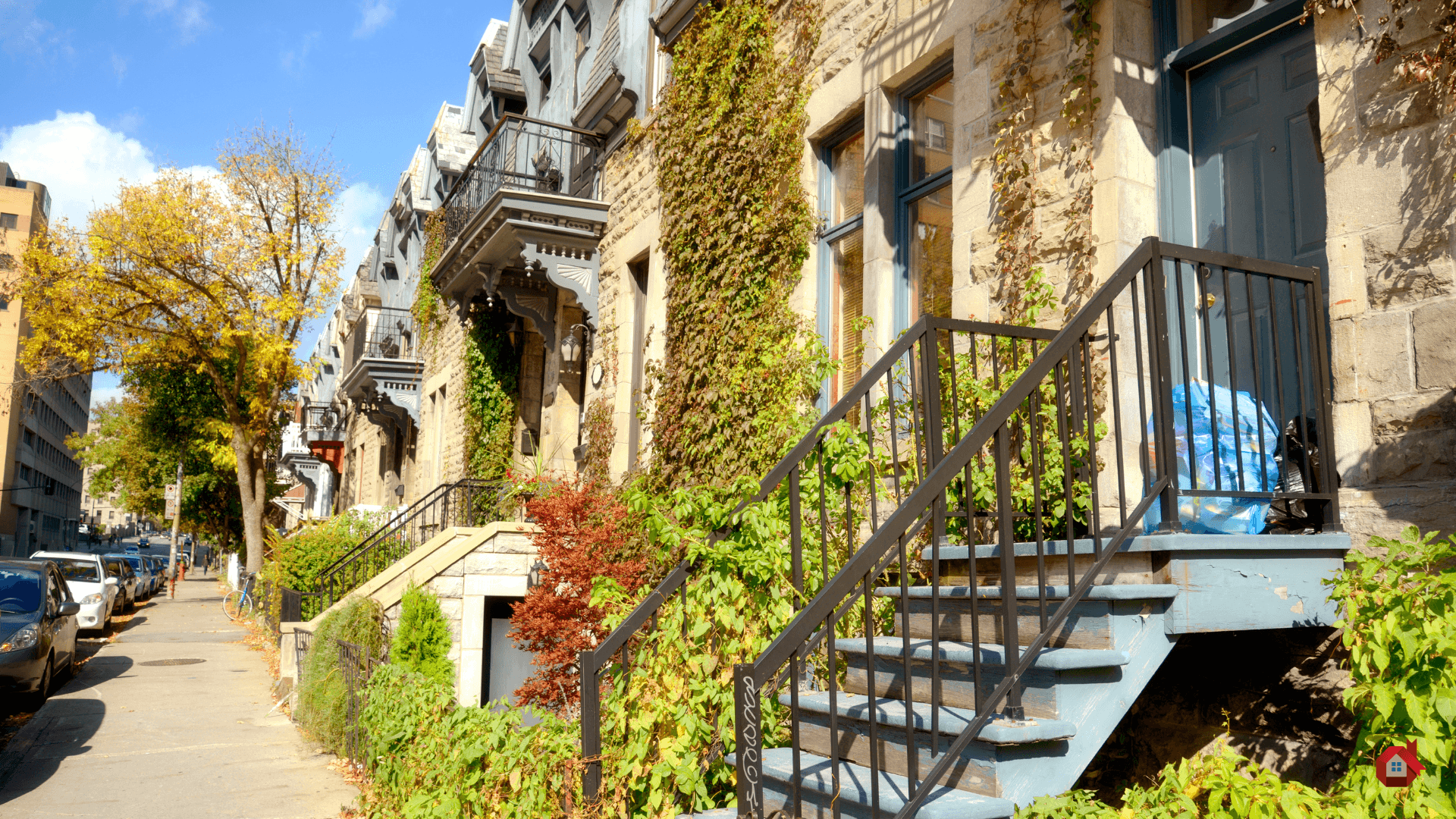 Plex à Montréal