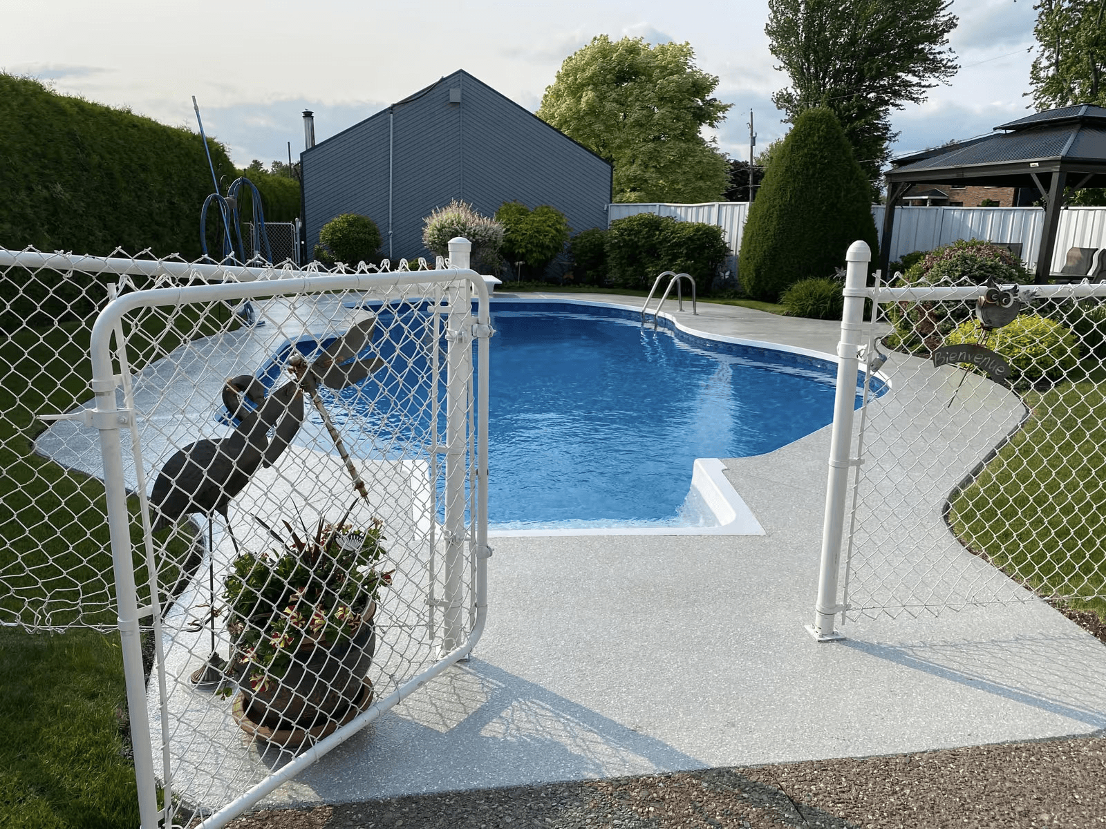 Piscine extérieure creusée entourée d’une clôture blanche en mailles de chaîne avec portail ouvert, patio gris et aménagement paysager verdoyant en arrière-plan.