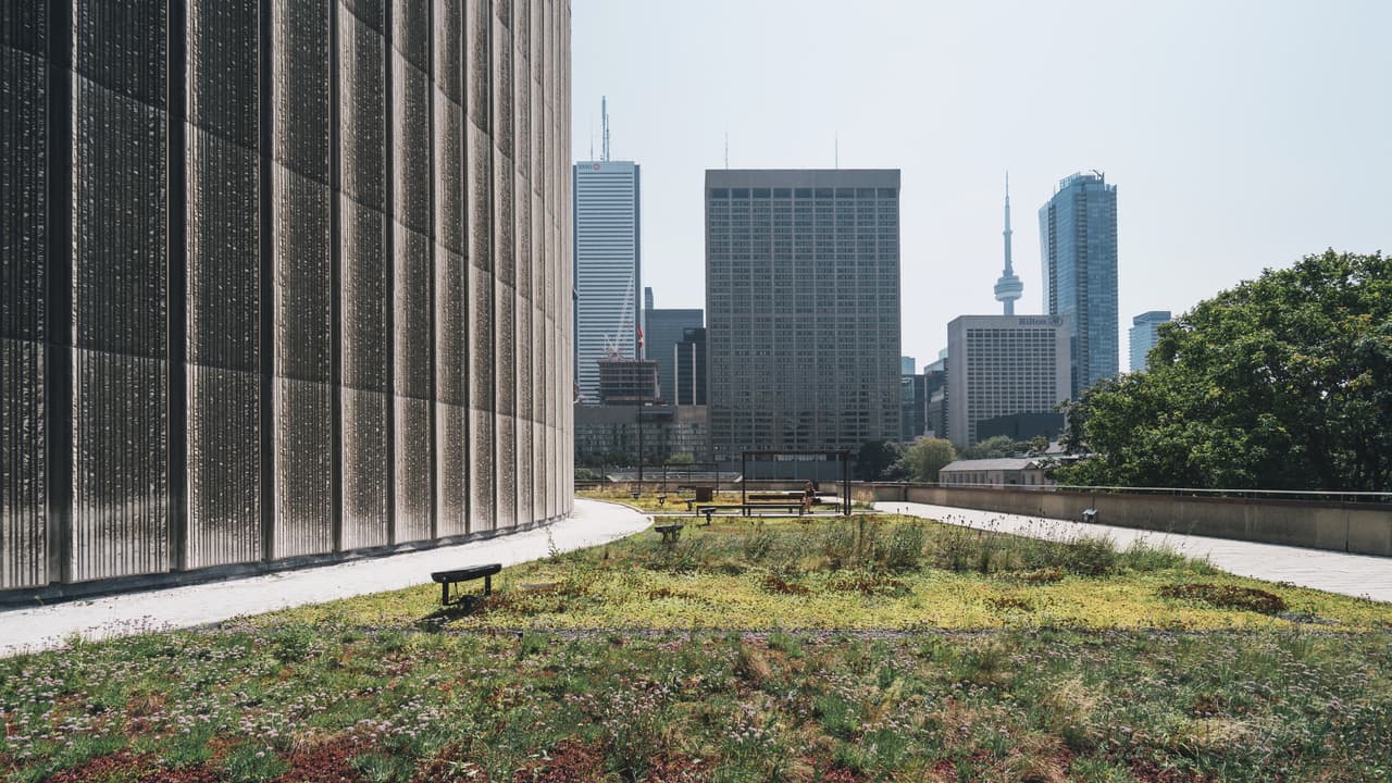 Toit vert avec végétation urbaine au premier plan et vue sur la Tour CN et les gratte-ciel du centre-ville de Toronto