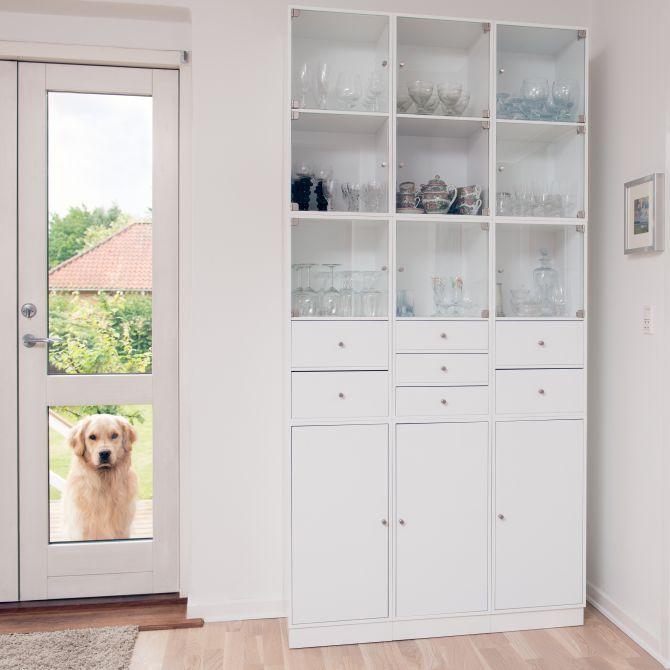 chien devant une fenêtre_Aménager votre maison pour un chien