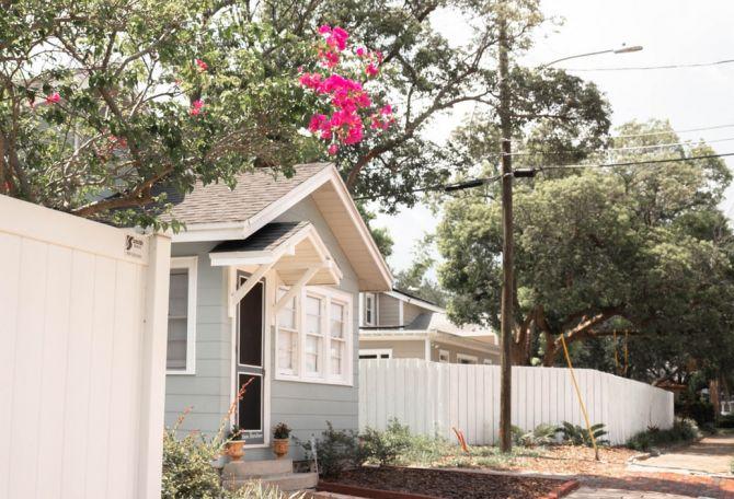 maison avec arbre sur le terrain_8 conseils pour prendre soin de vos arbres