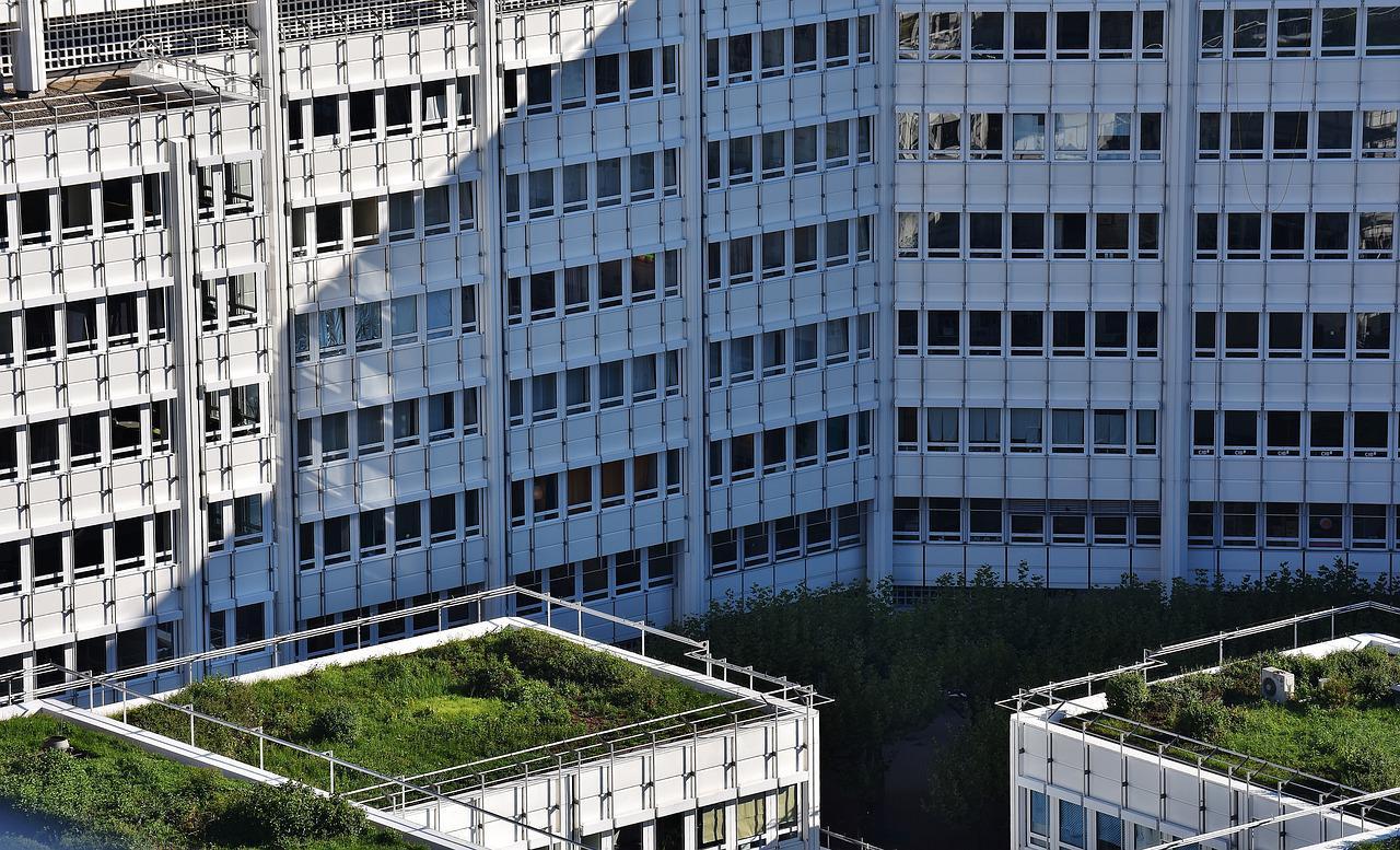 gratte ciel toits verts_Le toit bleu : une nouvelle construction écologique