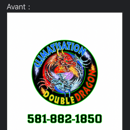 Climatisation double dragon