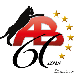 Pavage et Aménagement Paysager Antonio Borsellino inc