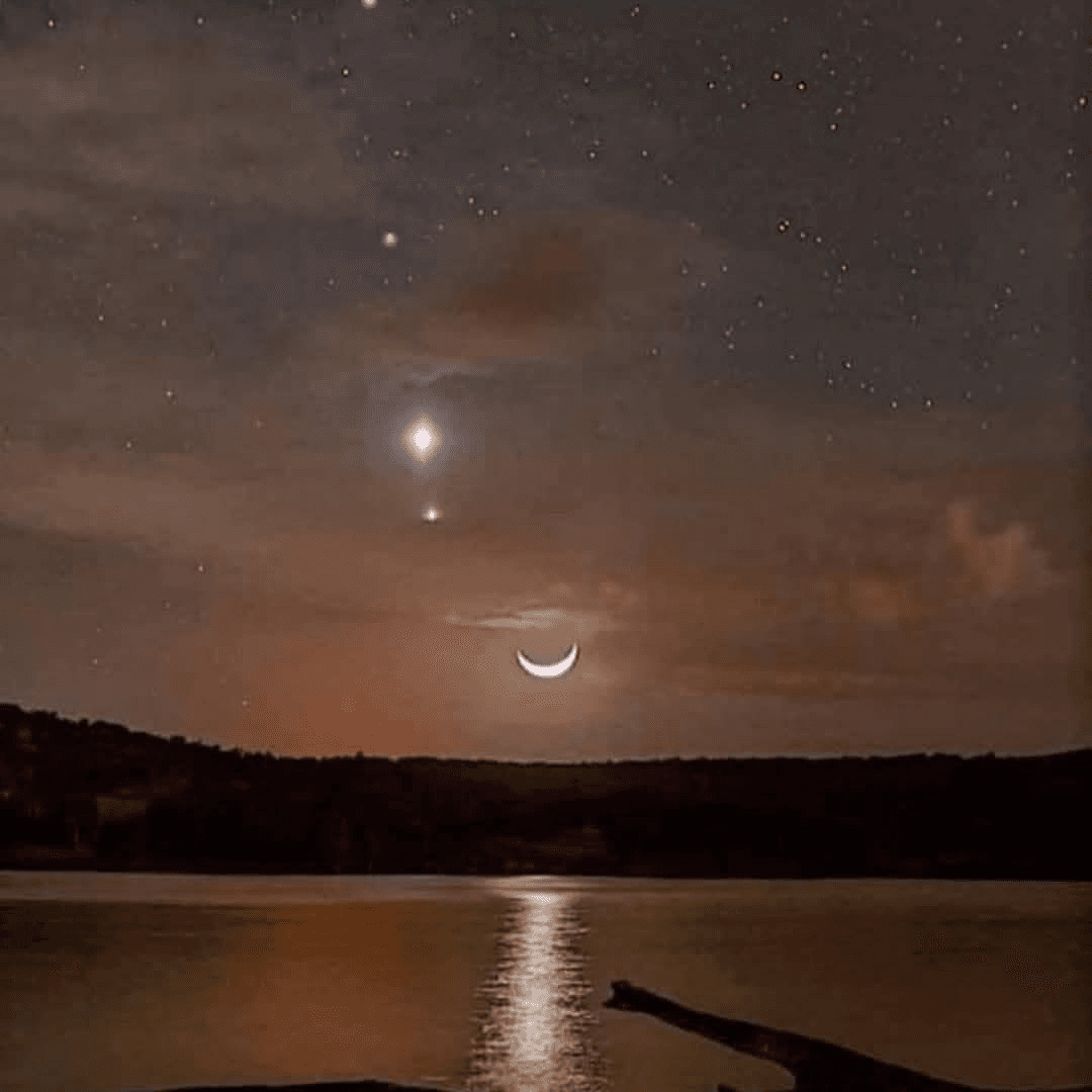 contractor-profile-logo