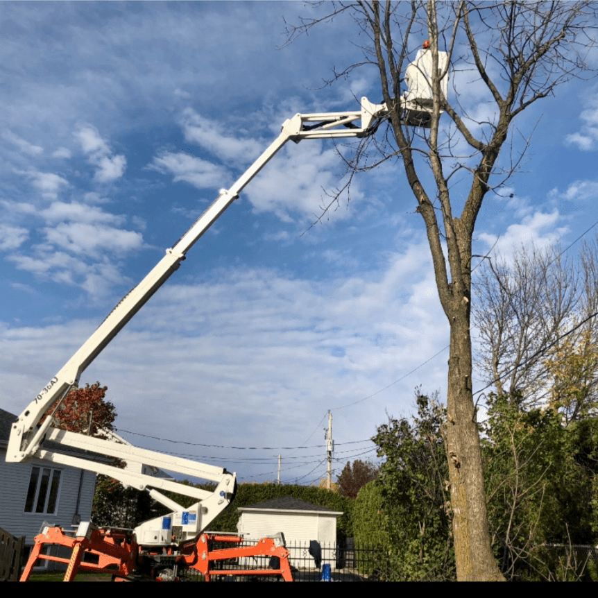 contractor-profile-logo