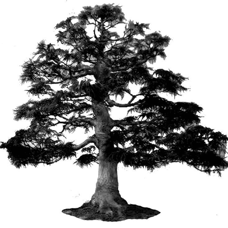 contractor-profile-logo