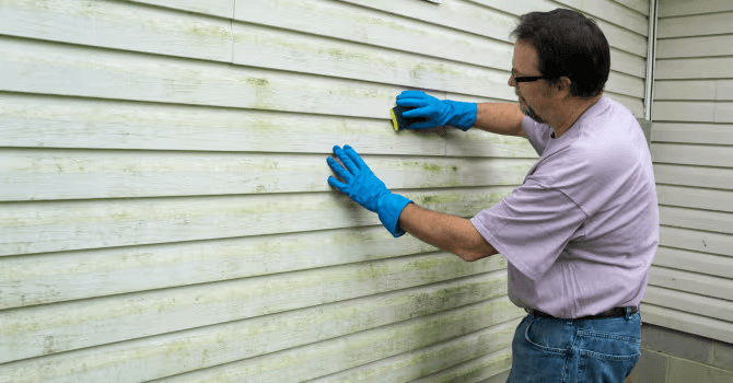 Nettoyage manuel des traces verdâtres sur un revêtement extérieur en vinyle blanc d’une maison avec une éponge et des gants de protection.