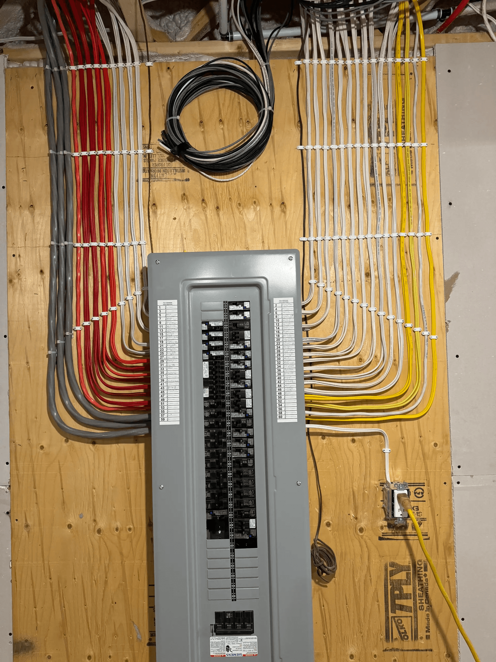 Panneau électrique résidentiel avec câblage multicolore organisé sur un mur en contreplaqué