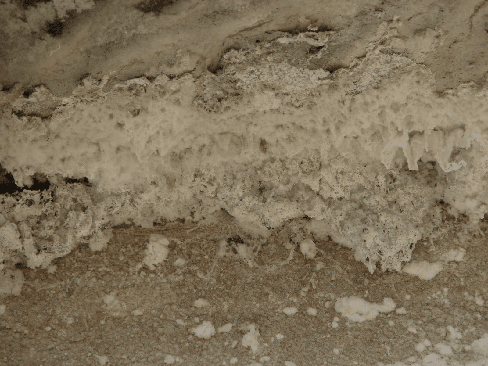 Importante efflorescence blanche et dépôts de sels minéraux sur une surface en béton détériorée, liés à une exposition prolongée à l’humidité.