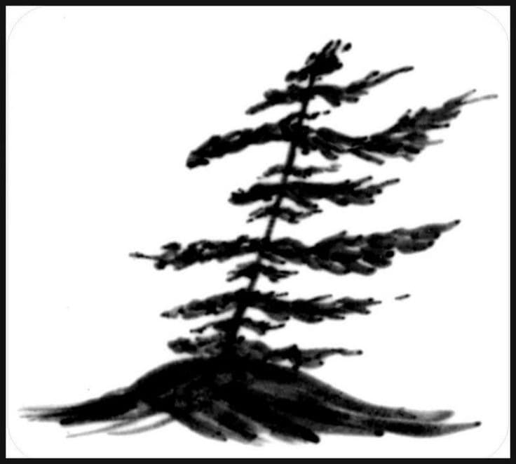 contractor-profile-logo