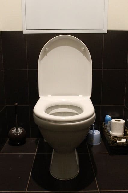 Regular toilet_How to install_RenoQuotes.com