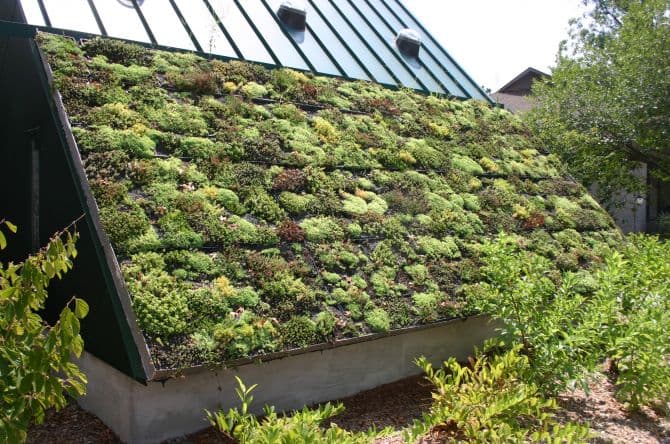 Toit vert rénovation_5 raisons d'installer un toit vert sur votre maison 