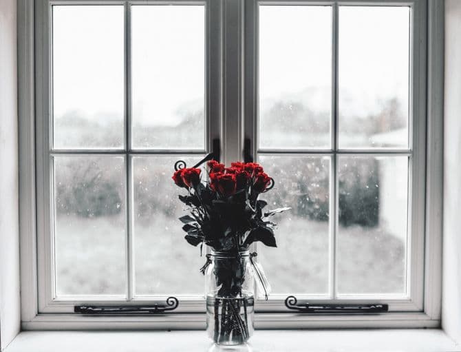 fenêtre blanche avec bouquet de roses devant_4 problèmes communs de fenêtres et comment y remédier