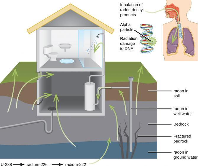 graphique sur l'entrée du radon dans une maison