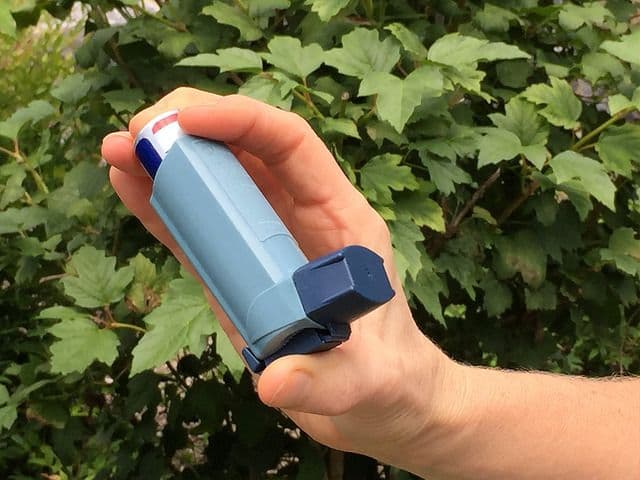 inhalateur contre l'asthme_l'humidité et les matériaux organiques qui favorisent la moisissure