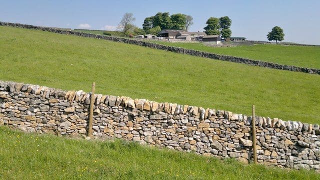 Muret de pierre devant champ