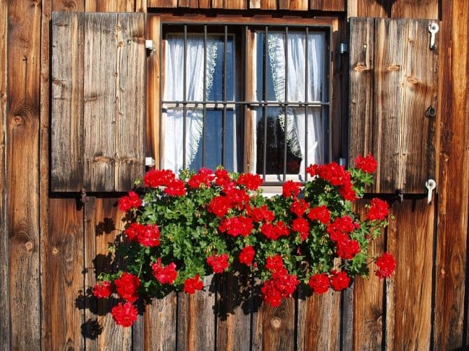Fenêtre avec bac à fleurs_Les éléments à inspecter avant d'acheter une maison