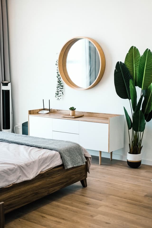 plant in a bedroom_how to choose your houseplants