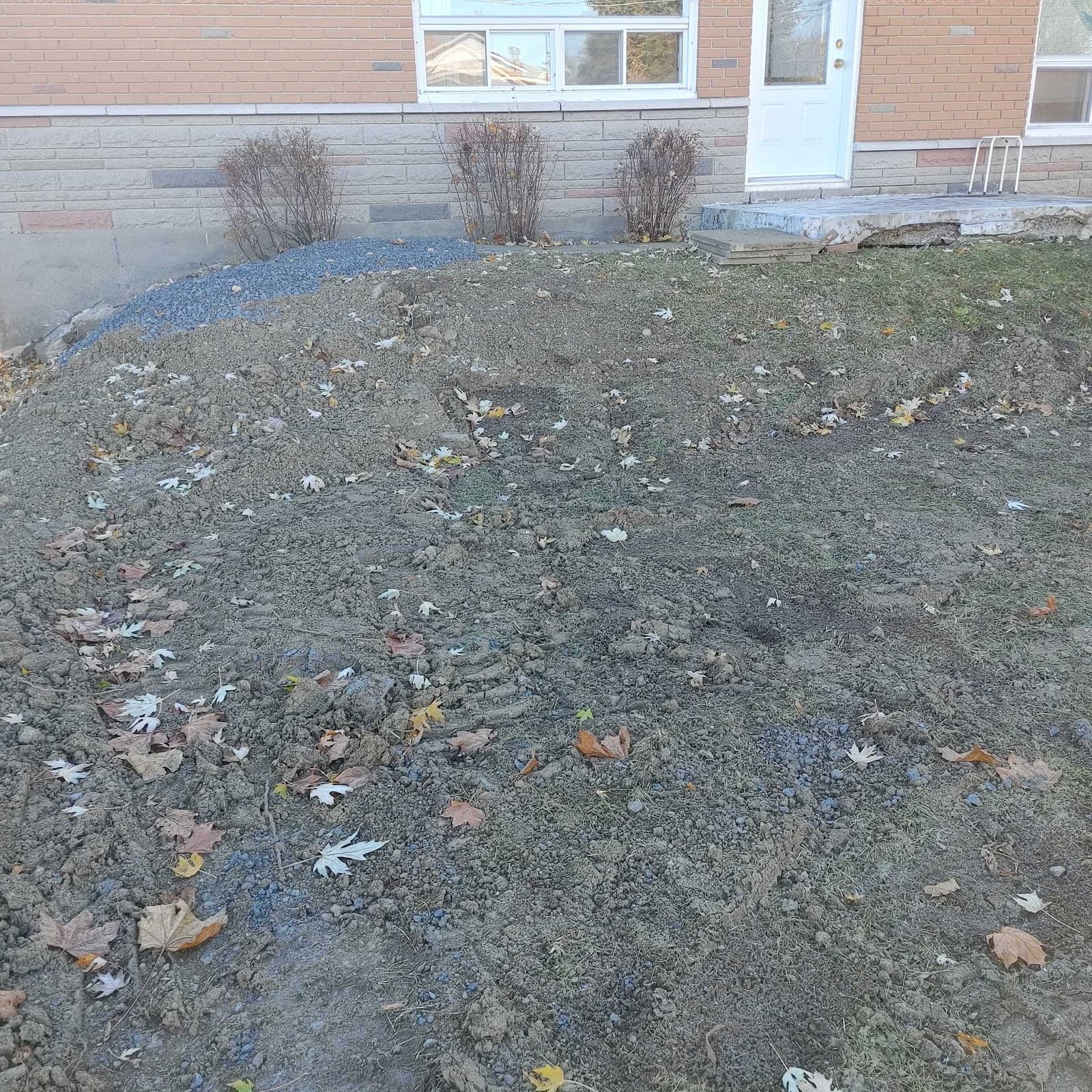 terrain abîmé_Canalisation bloquée par des racines