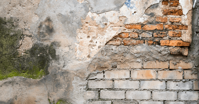 Brique moisissure_Les 6 problèmes de maçonnerie les plus communs